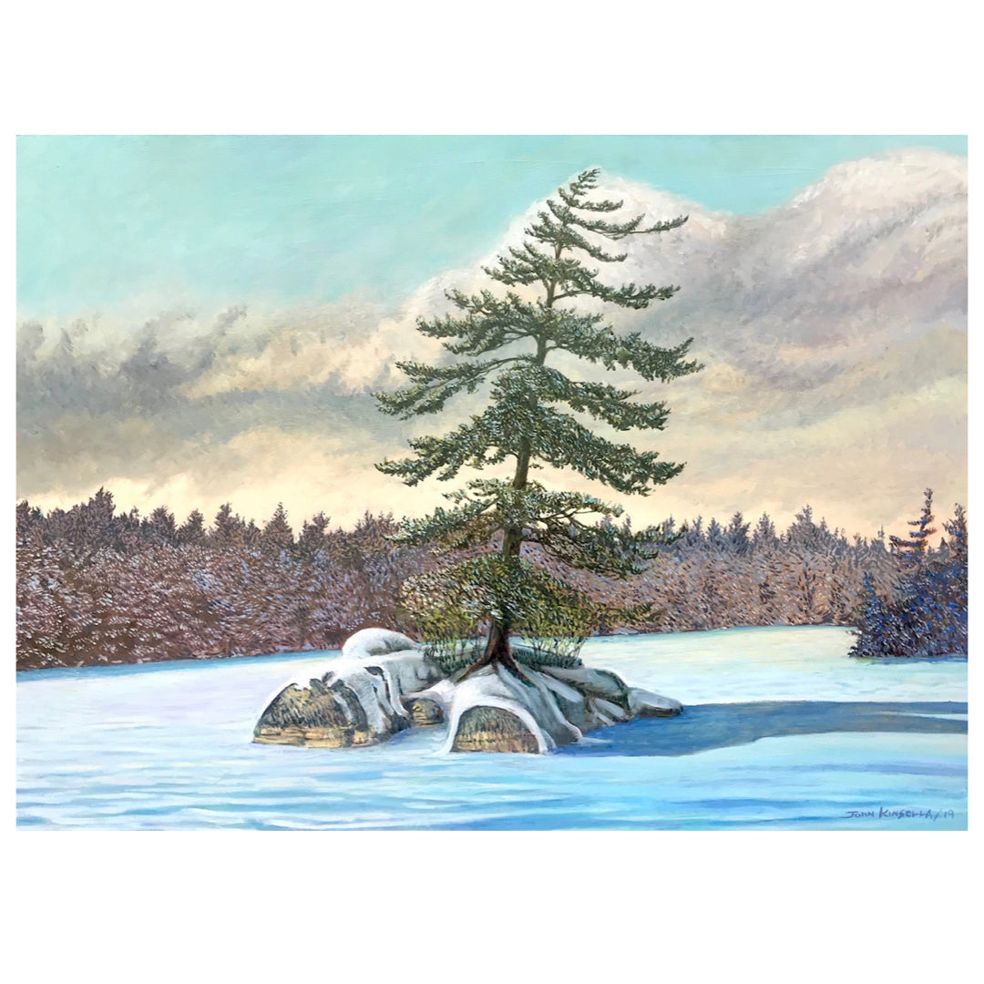 Island on a Frozen Lake - John Kinsella